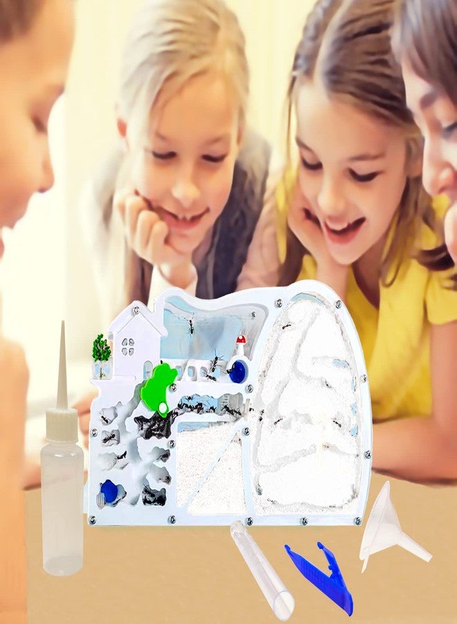 EXBEPE Large Sand Ant Farm Castle,Ant Habitat with Dinosaur Digging to Study Ant Colony Ecosystem Behavior,Science Educational Gift for Kids - Image 2